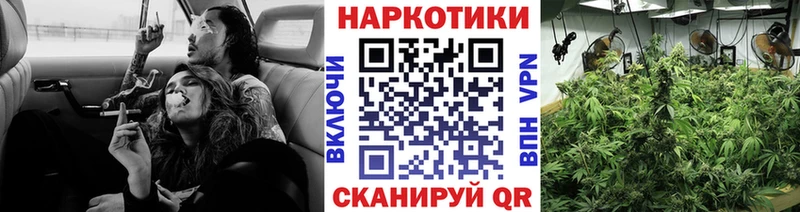 Как найти закладки Сенгилей АМФ  Канабис  LSD-25  Меф мяу мяу  Гашиш  COCAIN 