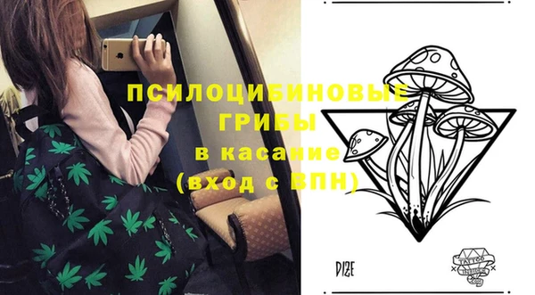 МДПВ Переславль-Залесский